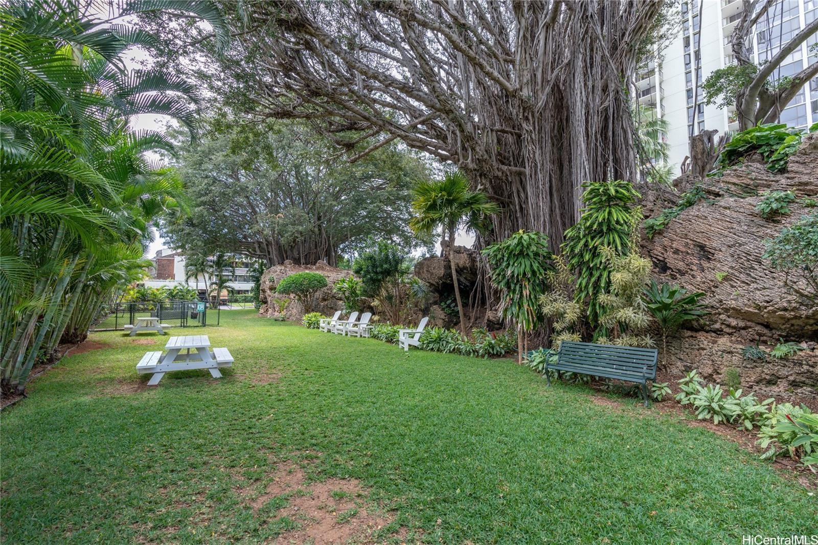 Windward Passage #208 photo 4
