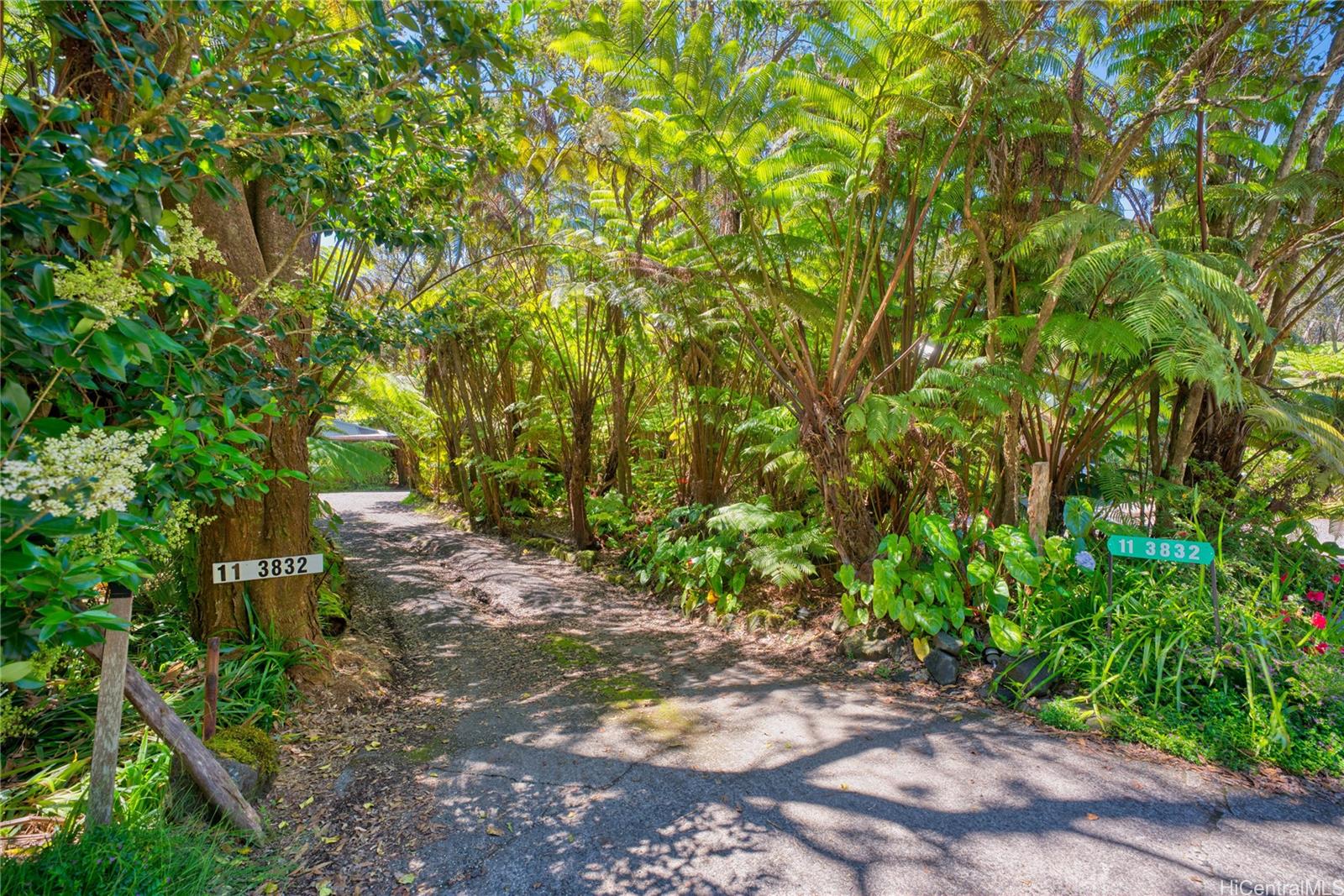 MLS 202514909 photo 3